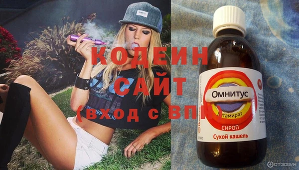 крисы Осинники
