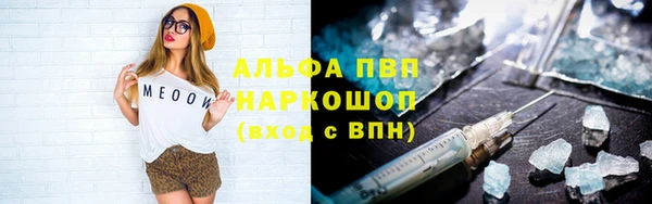 индика Осташков