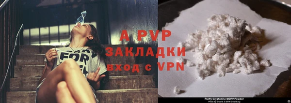 индика Осташков