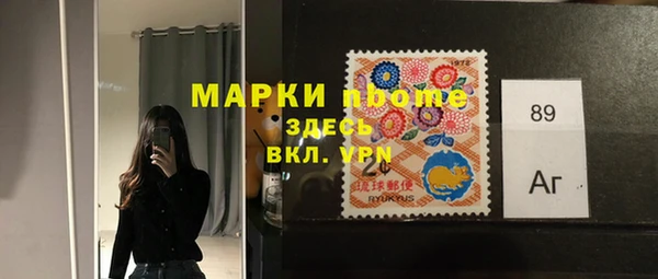 индика Осташков