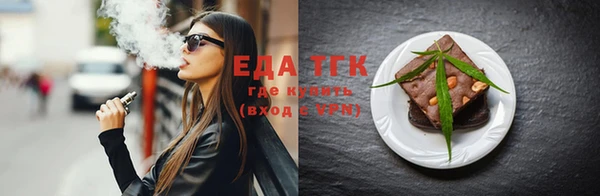 индика Осташков