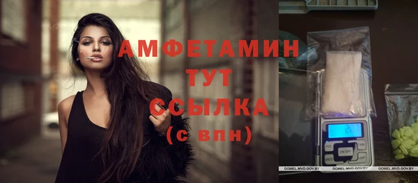 индика Осташков