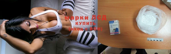 крисы Осинники