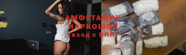 индика Осташков