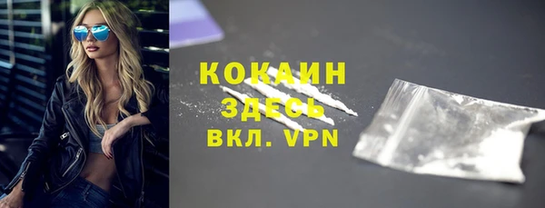 крисы Осинники