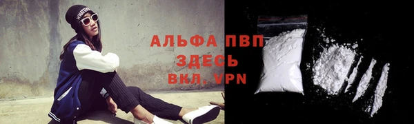 крисы Осинники