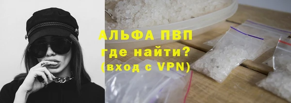 индика Осташков