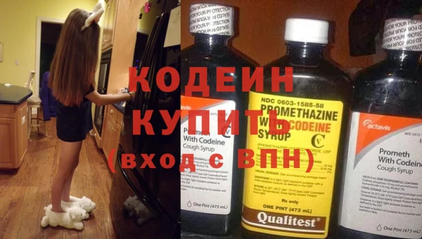 индика Осташков