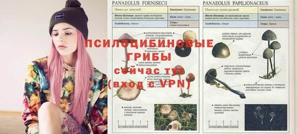 индика Осташков
