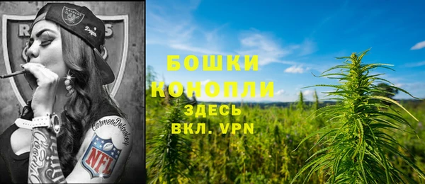 индика Осташков
