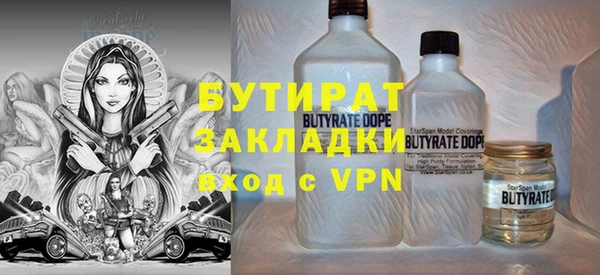 индика Осташков