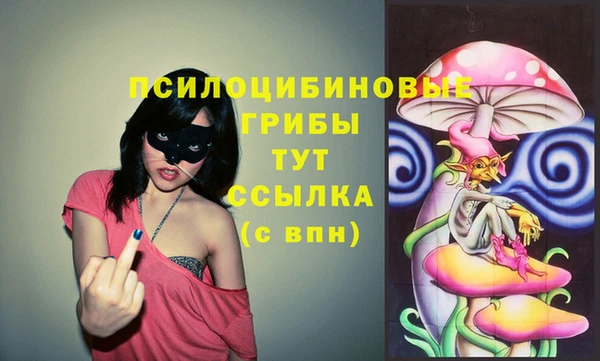 крисы Осинники