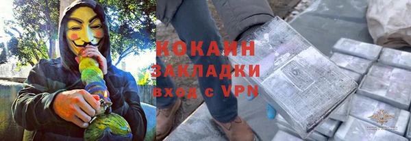 индика Осташков