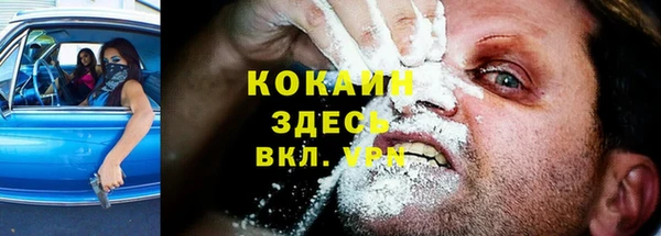 индика Осташков