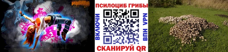Псилоцибиновые грибы мицелий  как найти   Северобайкальск 