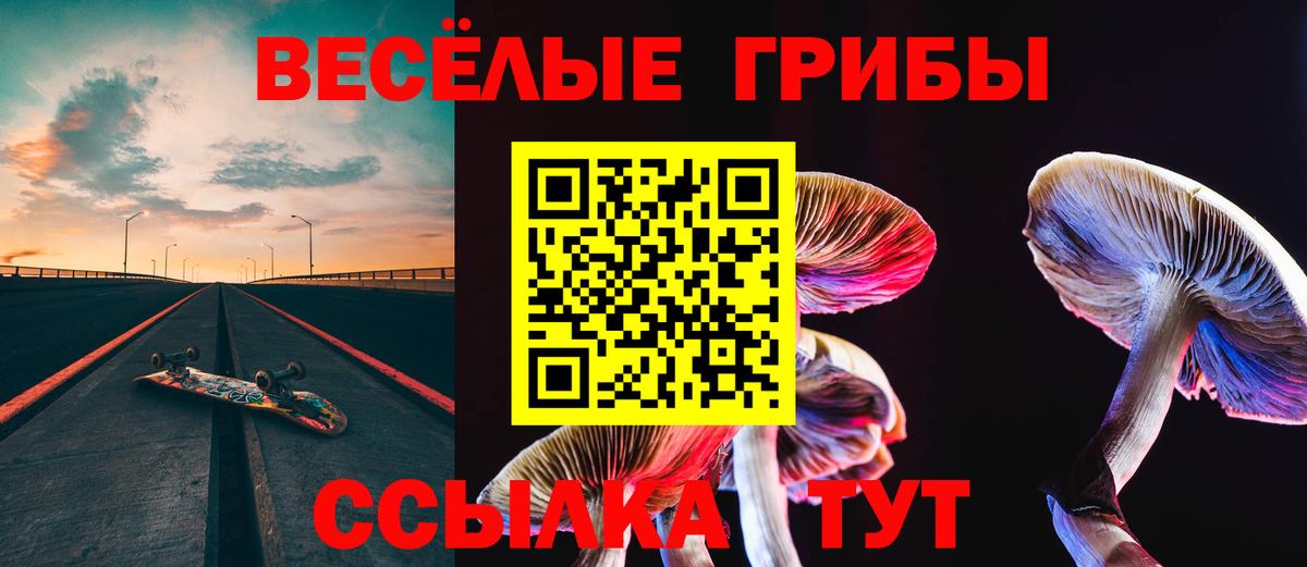 Псилоцибиновые грибы Psilocybe  Псилоцибиновые грибы мухоморы  Северобайкальск 